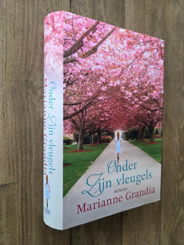 Onder Zijn vleugels - Marianne Grandia (christelijke roman), Ophalen of Verzenden, Zo goed als nieuw