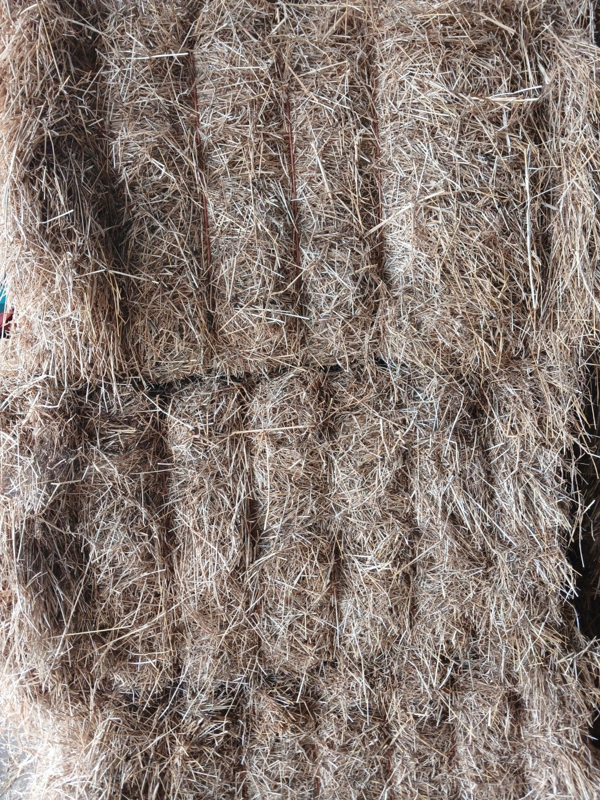 te koop grote pakken graszaad hooi., Ophalen, Vee