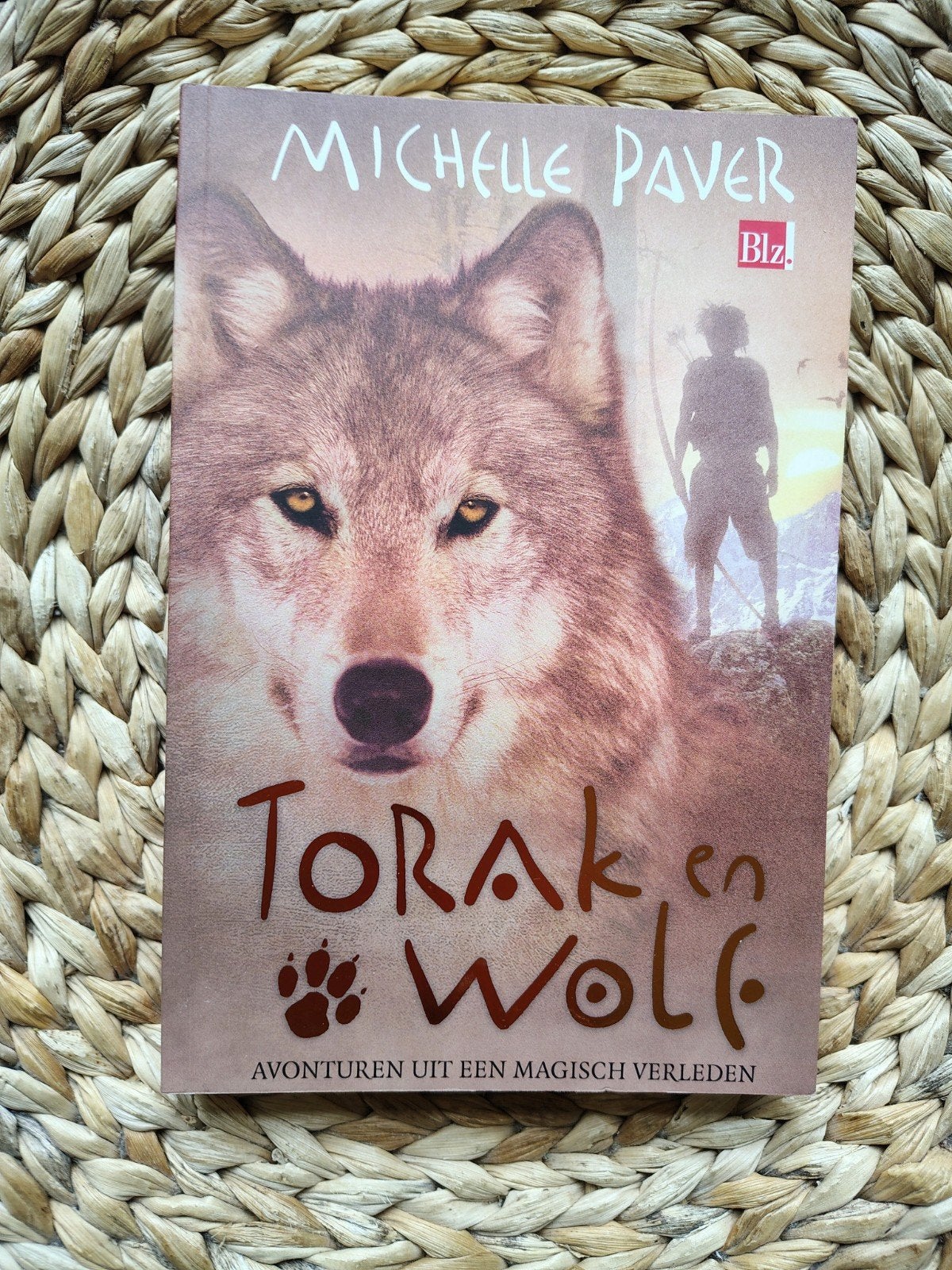 Michelle Paver - Torak en Wolf, Boeken, Ophalen of Verzenden, Zo goed als nieuw