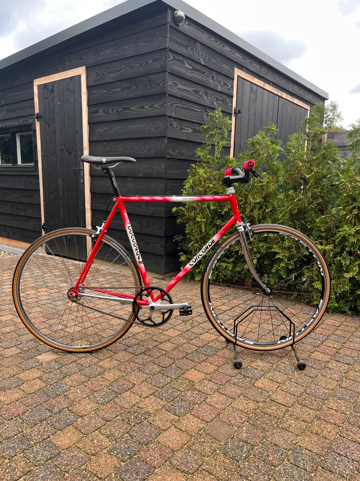 Diverse Custom Singlespeed Single Speed Fixie Fixedgear Race, Overige merken, 28 inch, Staal, Velgrem