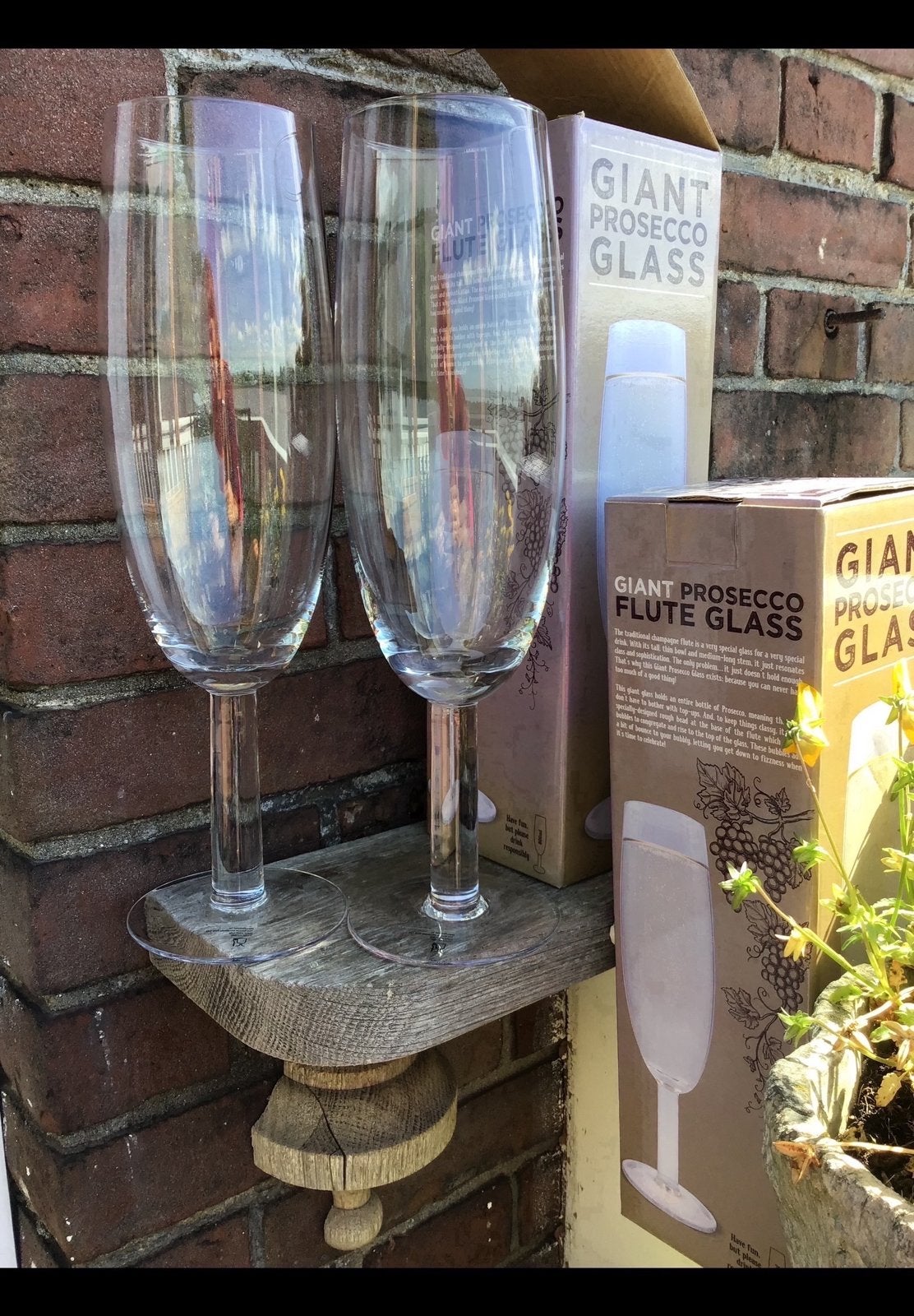 Twee enorme flute / prosecco glazen. Met een inhoud v 800 ml, Ophalen of Verzenden, Zo goed als nieuw, Overige typen
