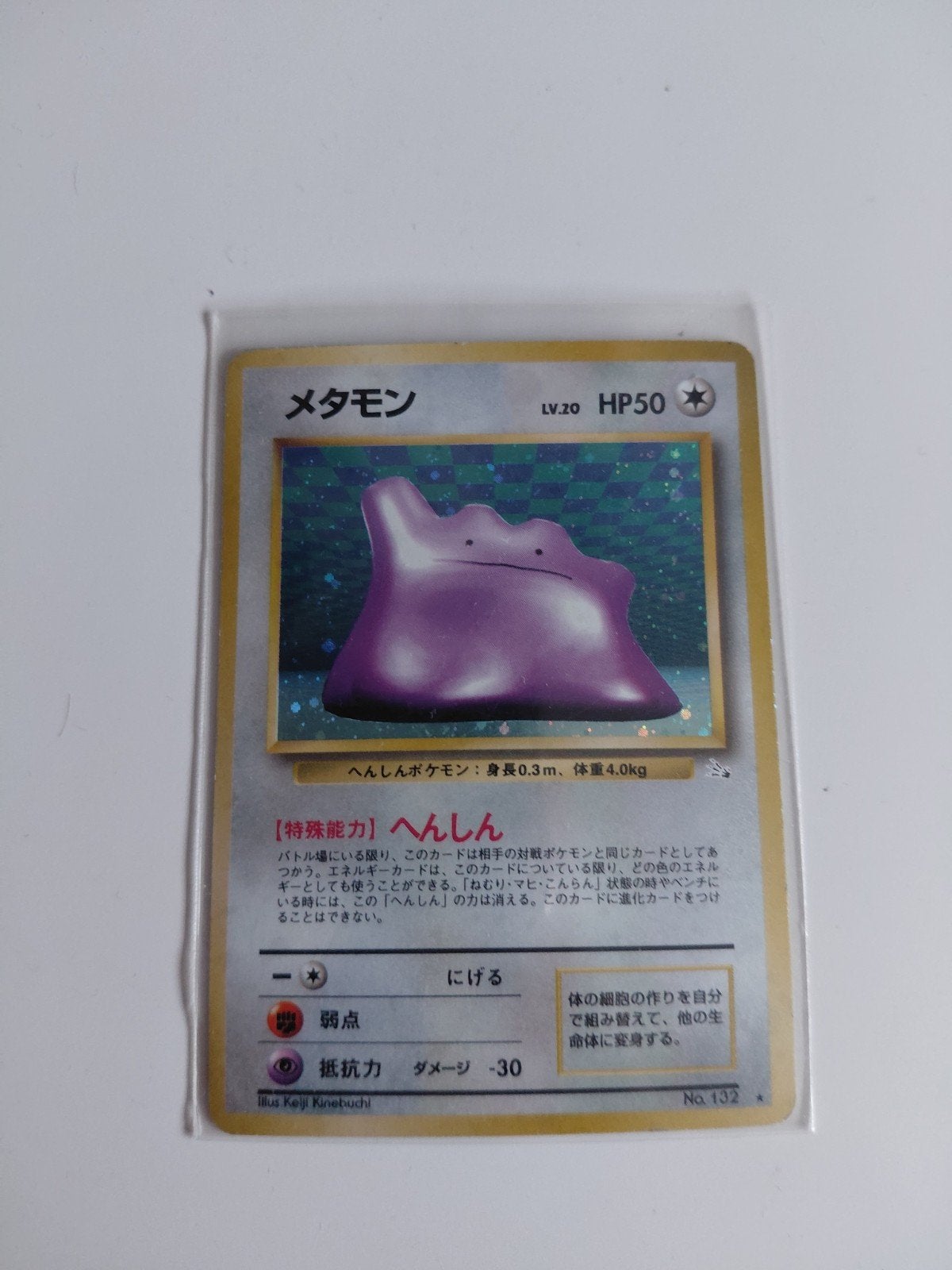 Ditto fossil holo, Ophalen of Verzenden