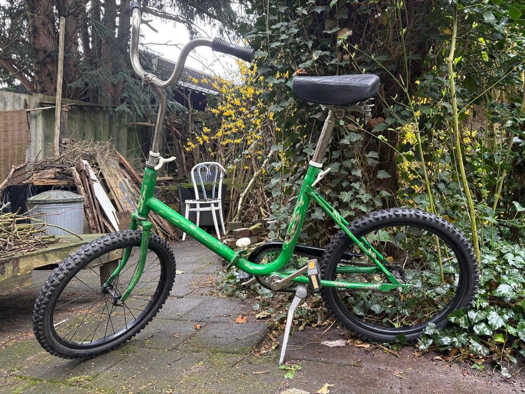 Retro Vouwfiets Campingfiets Groen Patina 20 inch, Gebruikt, Dames, Ophalen, Overige merken