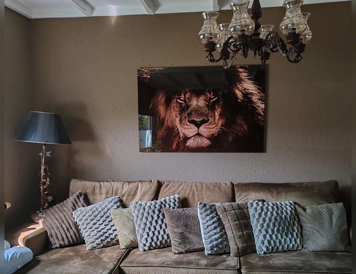 Hotelchique leeuwen schilderij 121x81, Ophalen