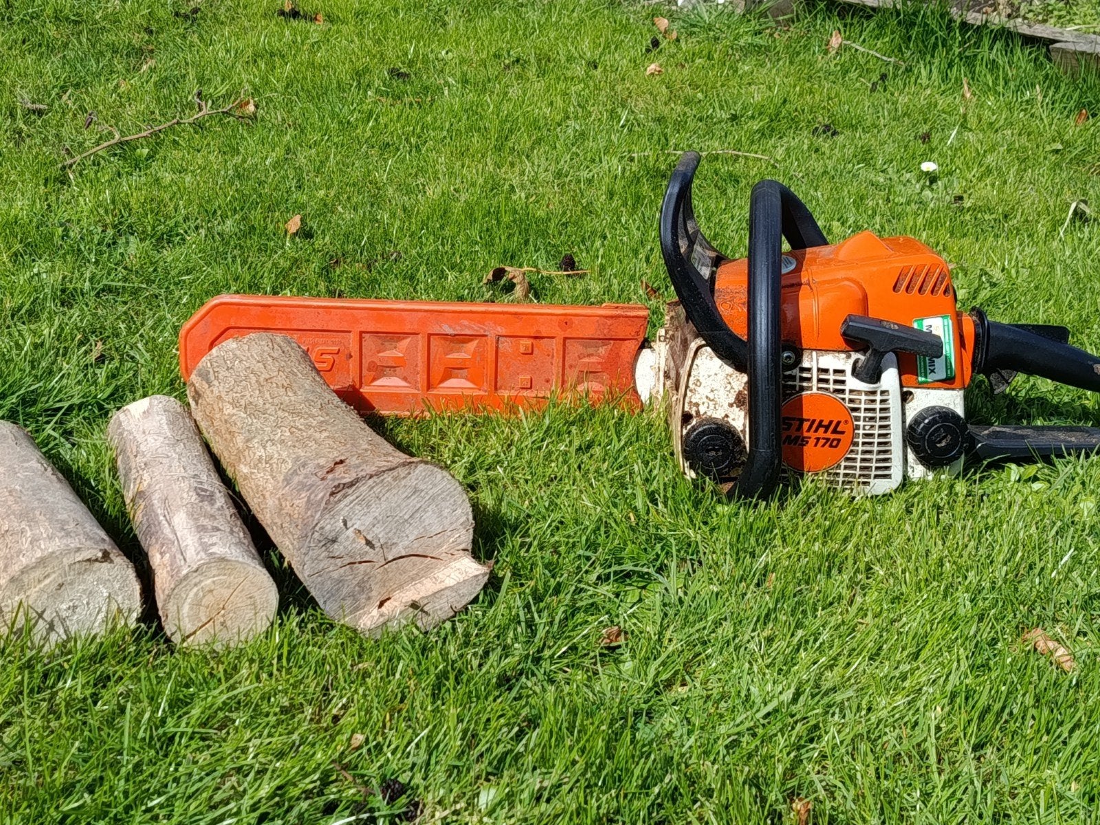 omgevallen boom, kappen, zagen hout, Ophalen