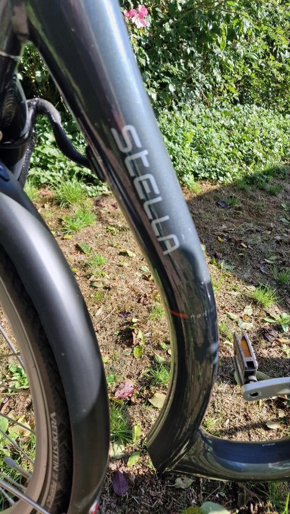 Stella driewieler fiets voor volwassenen met zware accu, Fietsen en Brommers, Fietsen | Driewielfietsen, Ophalen
