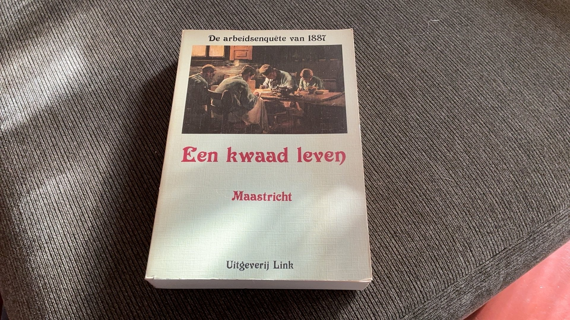 Een kwaad leven - Maastricht - deel 2, Boeken, Ophalen of Verzenden, Zo goed als nieuw
