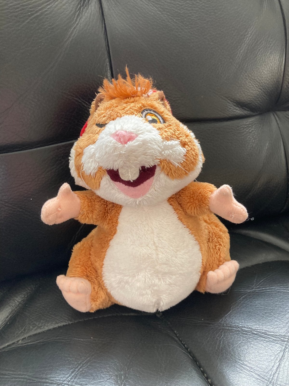 Ah hamster jongen met knipoog, Ophalen of Verzenden, Zo goed als nieuw, Overige typen