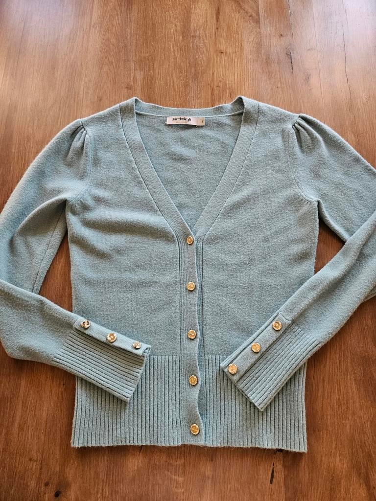 Viscose vestje van Artigli collection maat s, Kleding | Dames, Truien en Vesten, Artigli, Blauw, Nieuw, Ophalen of Verzenden