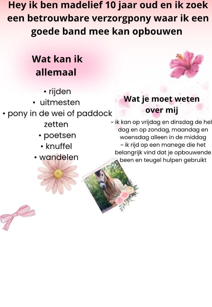Verzorg pony gezocht, Dieren en Toebehoren, Paarden en Pony's | Verzorgingsproducten, Ophalen of Verzenden, Nieuw