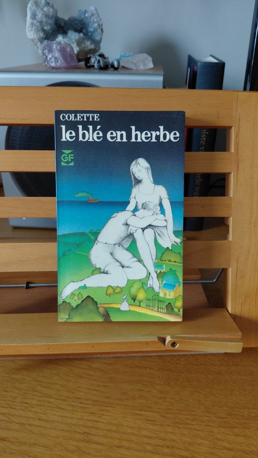 Le blé en herbe - Colette (Garnier-Flammarion), Boeken, Ophalen of Verzenden, Gelezen, Colette, Europa overig