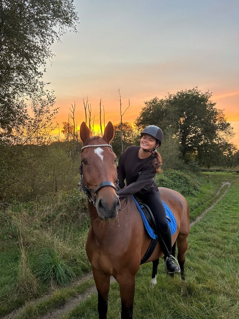 Lieve en betrouwbare 16-jarige ruin, Gechipt, B, Ruin, 11 jaar of ouder