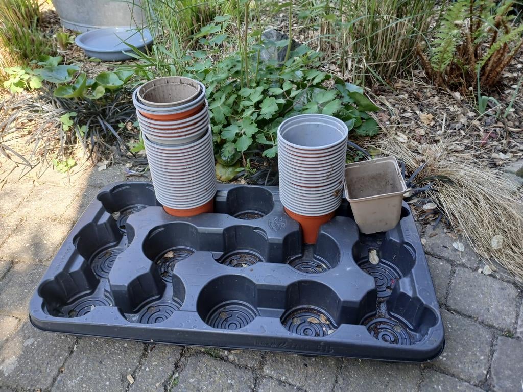 Stekpotjes, Tuin en Terras, Ophalen