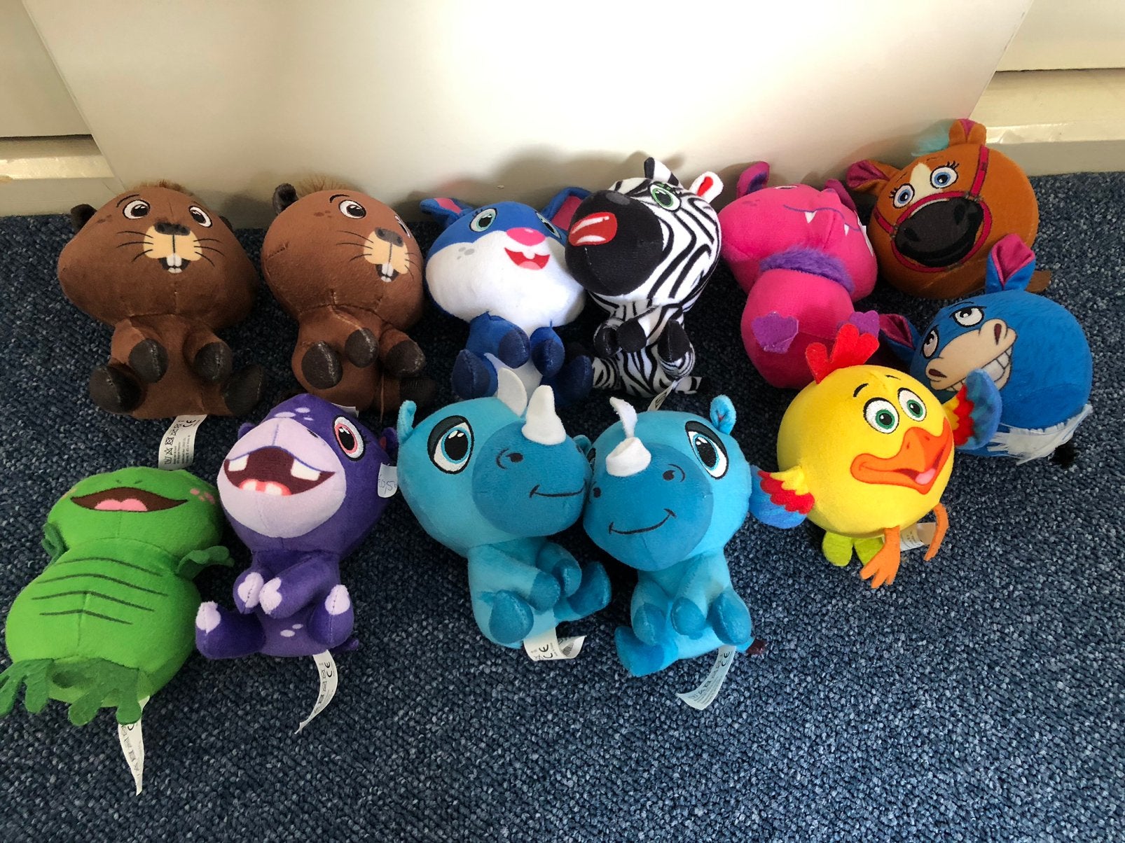 Lidl mini’s, Ophalen, Gebruikt, Konijn, Middelgroot (20 tot 80 cm)