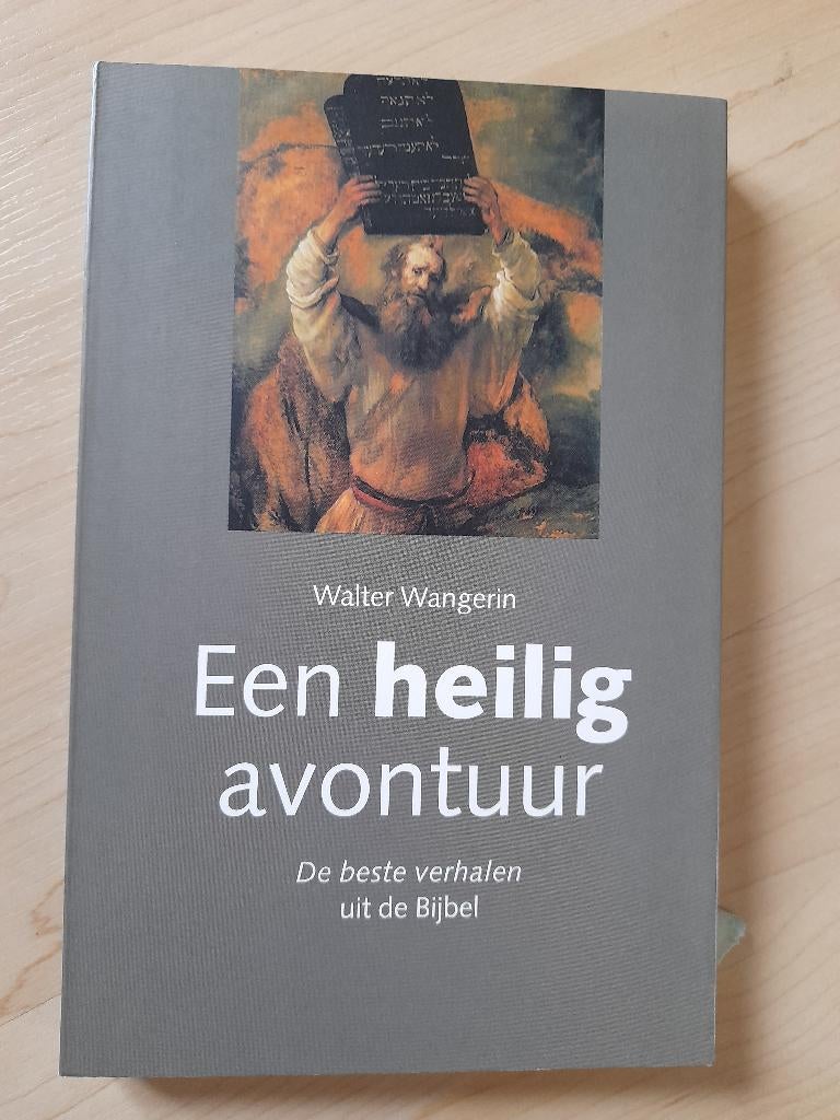 EEN HEILIG AVONTUUR  Walter Wangerin, Boeken, Ophalen of Verzenden, Zo goed als nieuw