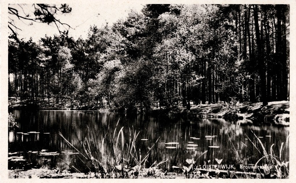 Oisterwijk – Brouwerskuip., Ophalen of Verzenden, 1960 tot 1980, Ongelopen, Noord-Brabant