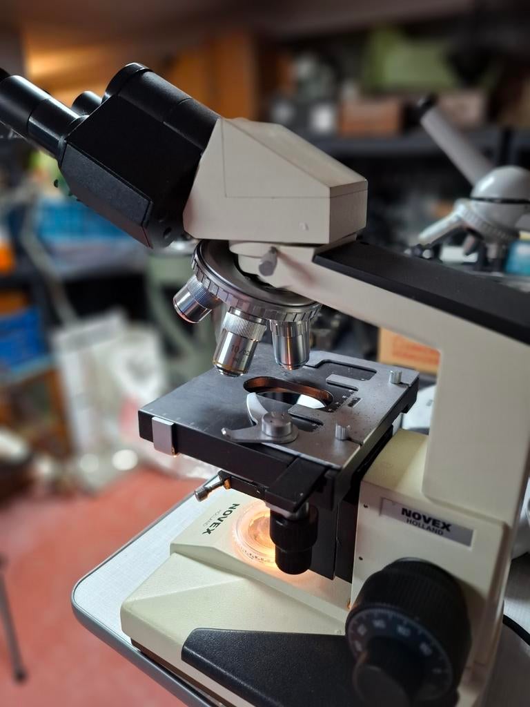 Novex Holland binoculaire microscoop, Audio, Tv en Foto, Optische apparatuur | Microscopen, Ophalen of Verzenden