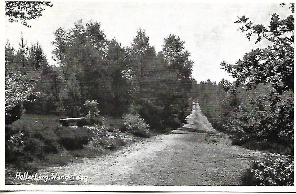Holten- -Wandelweg Holterberg., Verzenden, 1940 tot 1960, Gelopen, Overijssel