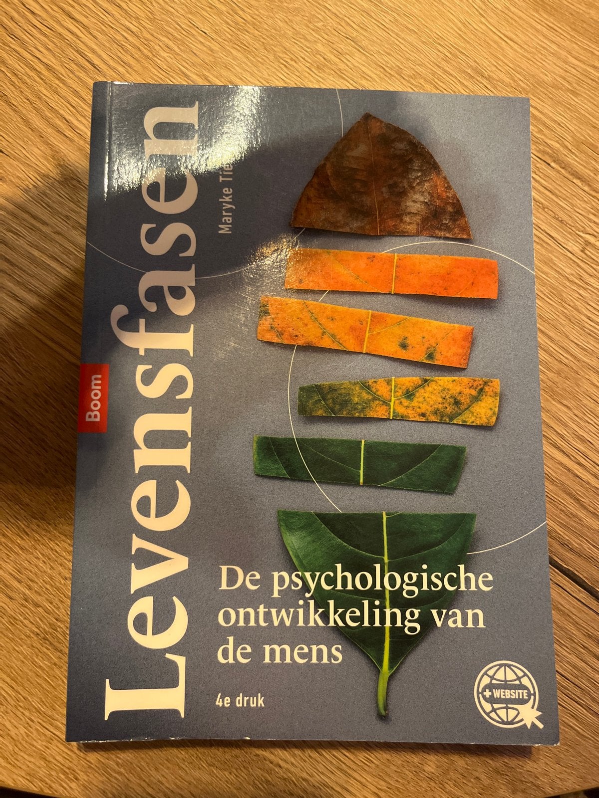 Levensfasen: De psychologische ontwikkeling van de mens, Ophalen of Verzenden, Gamma, Zo goed als nieuw, HBO