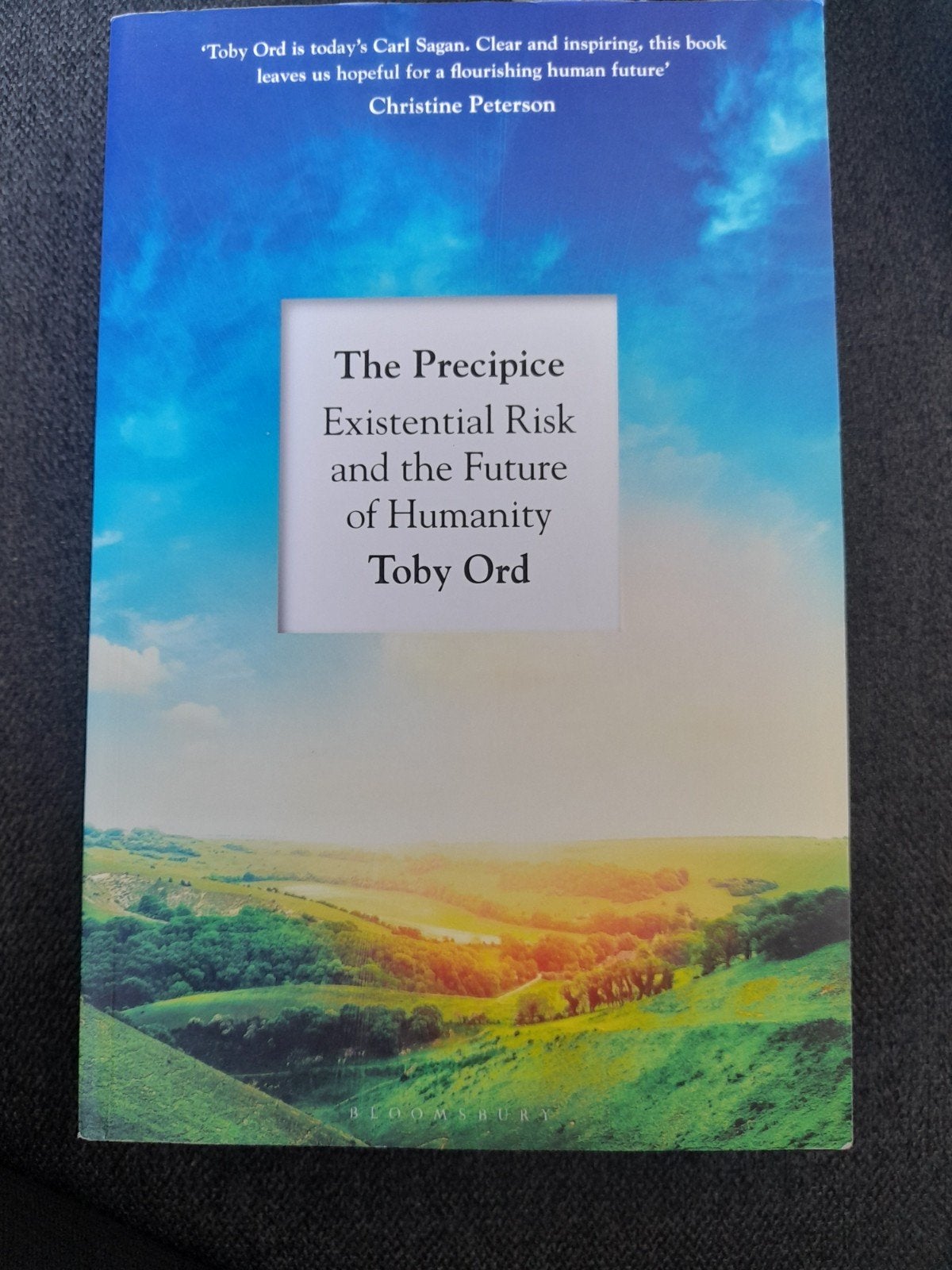 The Precipice Existential Risk - Toby Ord, Boeken, Ophalen of Verzenden, Zo goed als nieuw