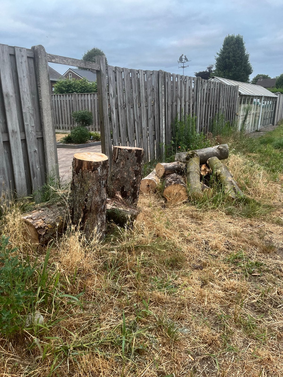 Mooi open haardhout, zelf zagen - doe een goed bod!, Tuin en Terras, Haardhout, 3 tot 6 m³, Ophalen of Verzenden, Overige houtsoorten