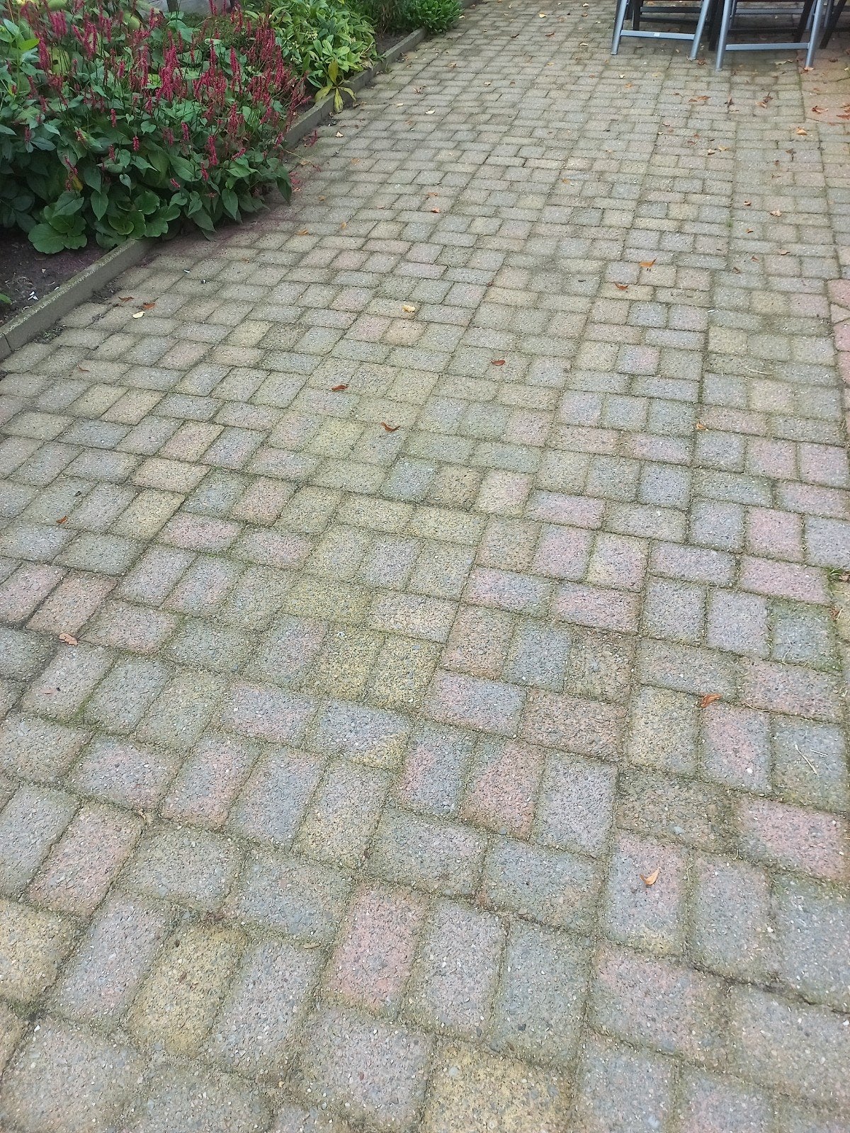 terras stenen/tegels., Ophalen, Gebruikt, Beton, Terrastegels
