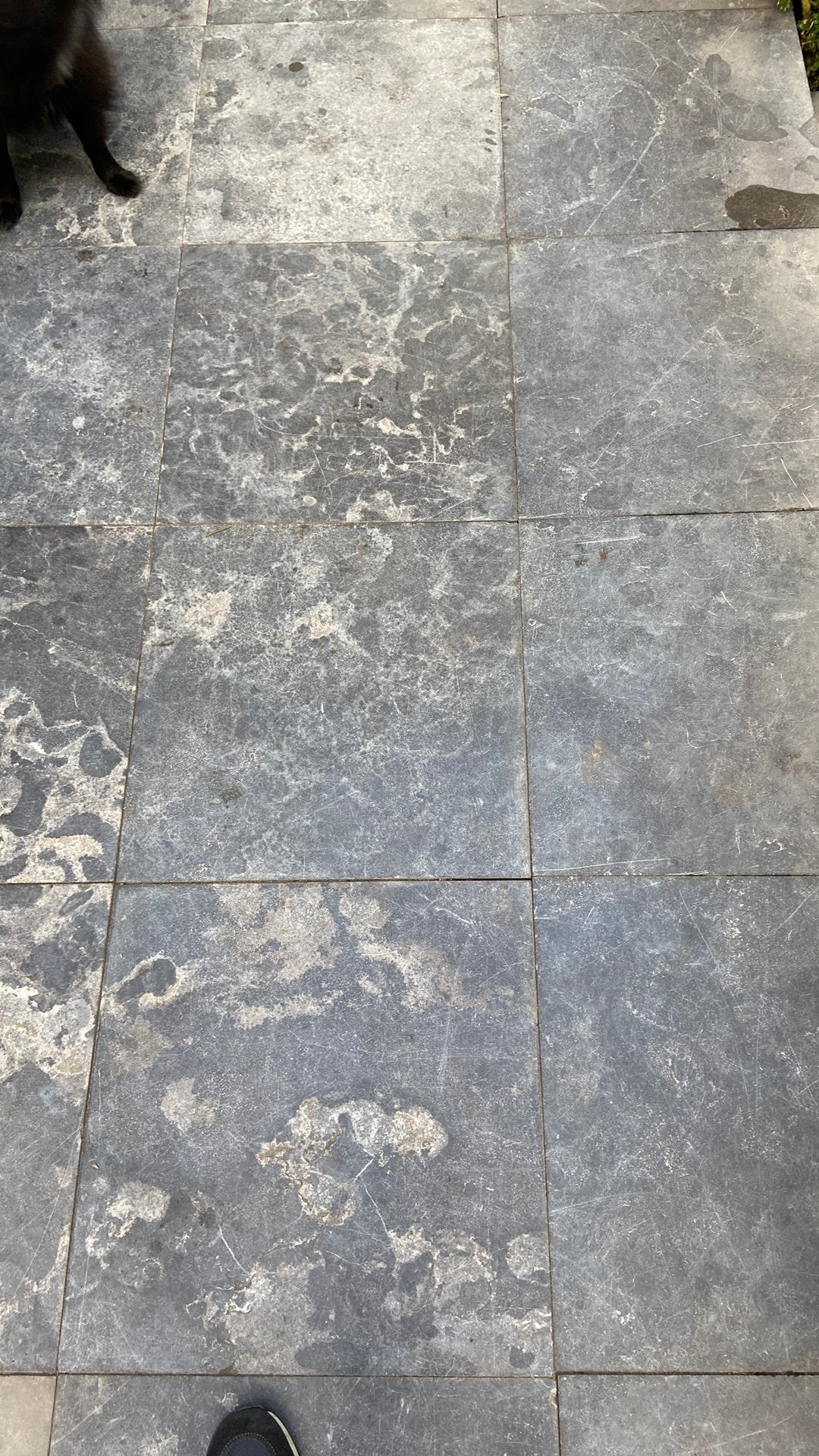 Natuursteen antreciet 50x50 3mm dik, Ophalen, Gebruikt, Terrastegels, Natuursteen
