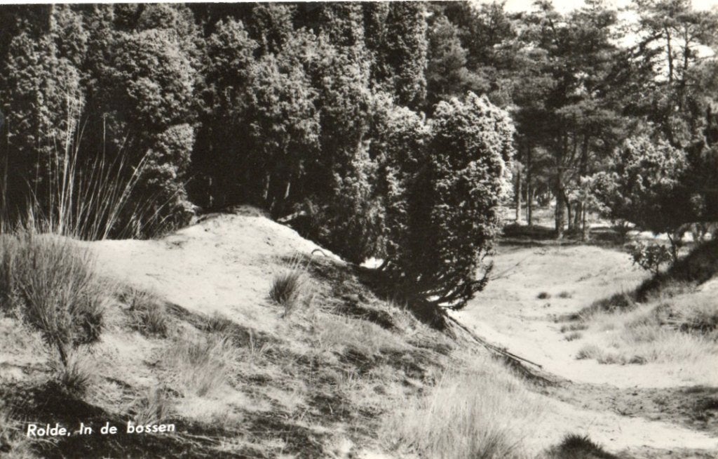 Rolde  In de bossen, Ophalen of Verzenden, 1940 tot 1960, Gelopen, Noord-Brabant