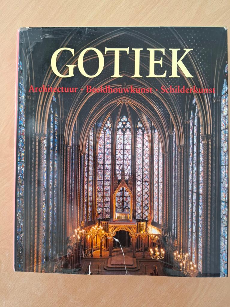 Gotiek: Architectuur, Beeldhouwkunst, Schilderkunst, Ophalen of Verzenden, Gelezen, Stijl of Stroming, Onbekend