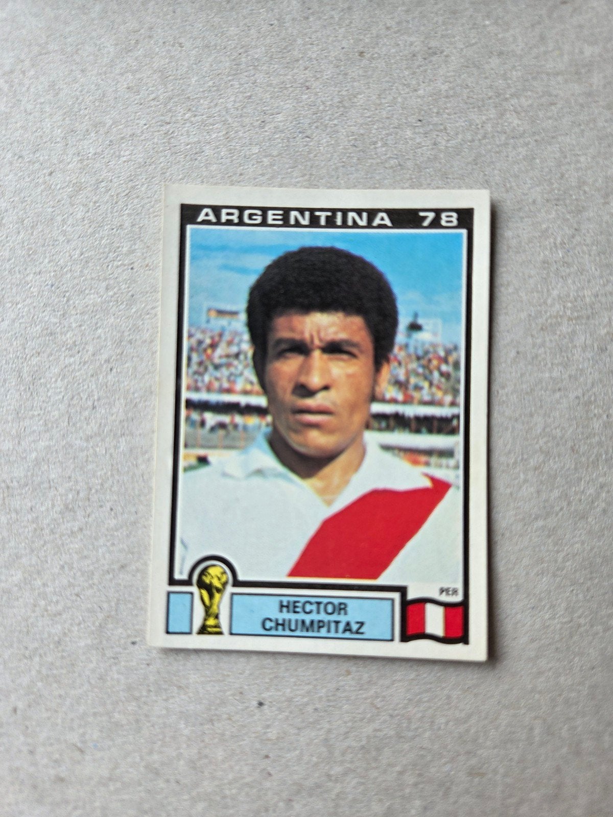 Panini WK 78, Ophalen of Verzenden, Zo goed als nieuw, Buitenlandse clubs, Poster, Plaatje of Sticker