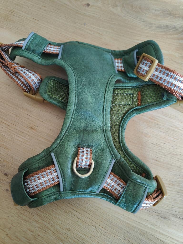 hondentuigje, Ophalen, Nieuw, Hondenriem-accessoire
