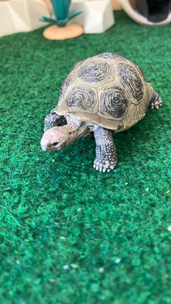 Schleich landschildpad, Ophalen of Verzenden, Zo goed als nieuw, Paard, Beeldje of Figuurtje