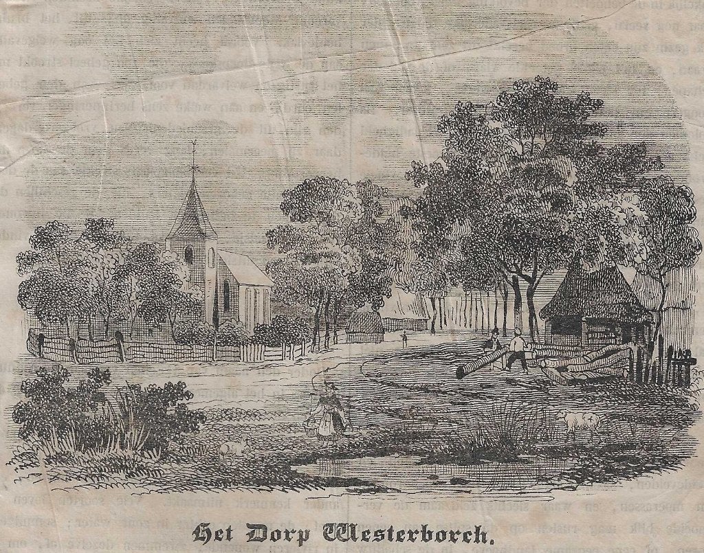 Westerbork Het Dorp Westerborch Houtgravure ca. 1850, 1800 - 1899, Stadsgezicht, Ophalen of Verzenden, Gravure