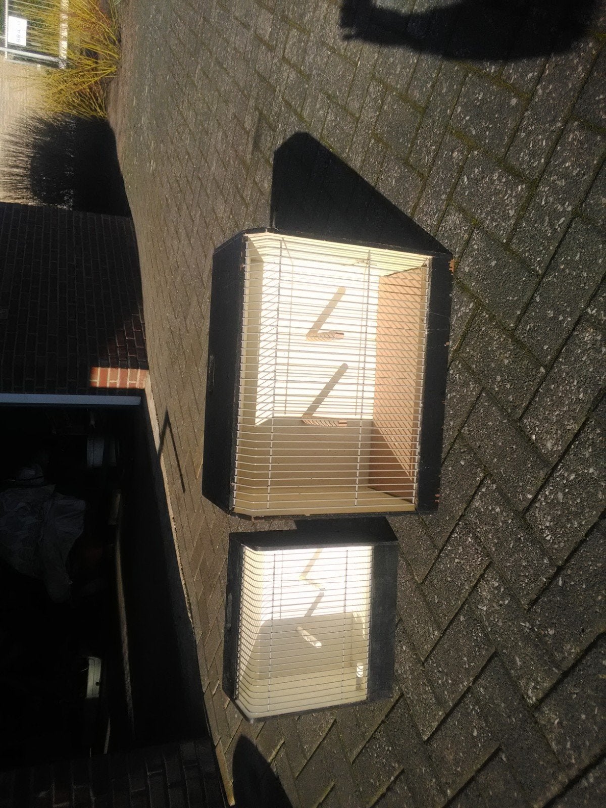 2 maal TT kooien