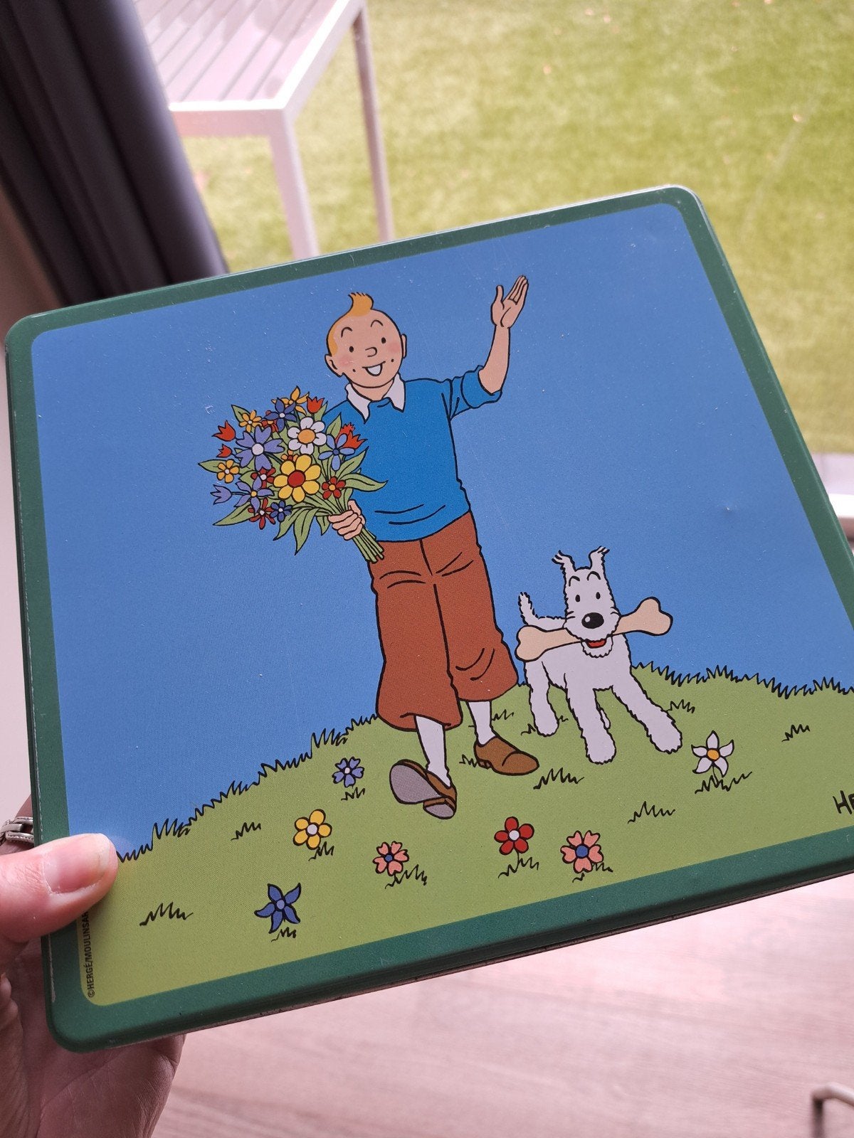 Tintin blikken doos - Kuifje en Bobbie, Verzamelen, Overige Verzamelen, Gebruikt, Ophalen