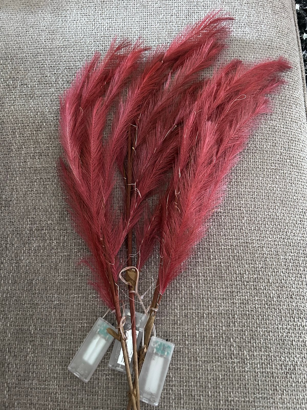 Decoratieve pluimen met lichtjes - Rood, Gebruikt, Overige stijlen, Ophalen of Verzenden, Natuurlijk materiaal