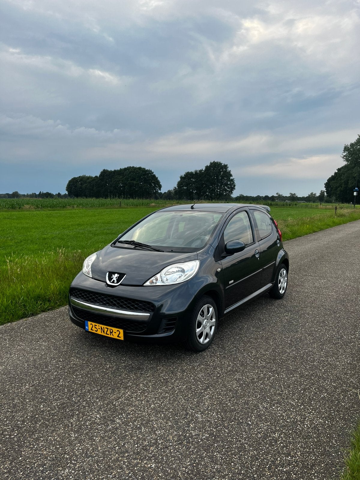 Peugeot 107 1.0 5DR 2010 Grijs Airco Carplay, Voorwielaandrijving, Stof, Zwart, 4 stoelen