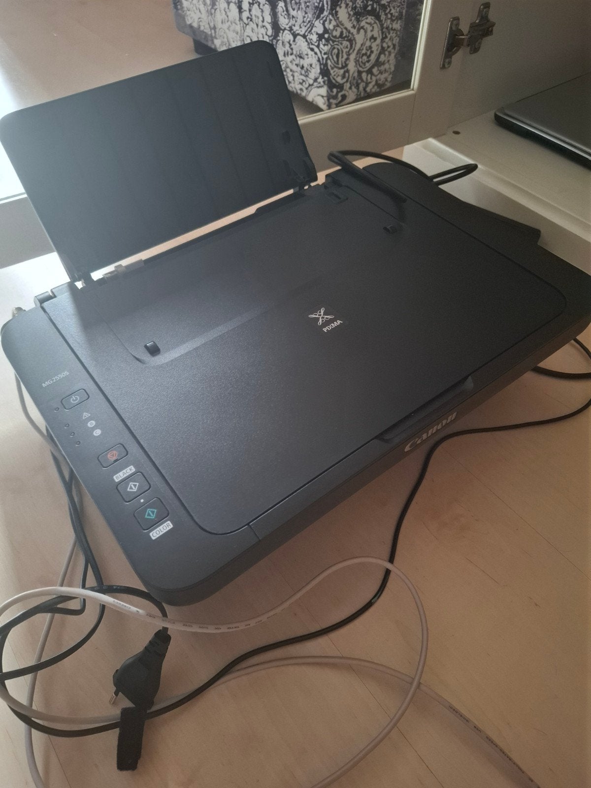 Canon Pixma MG2550S  Printer, Computers en Software, Ophalen, Gebruikt, Kleur printen, Canon