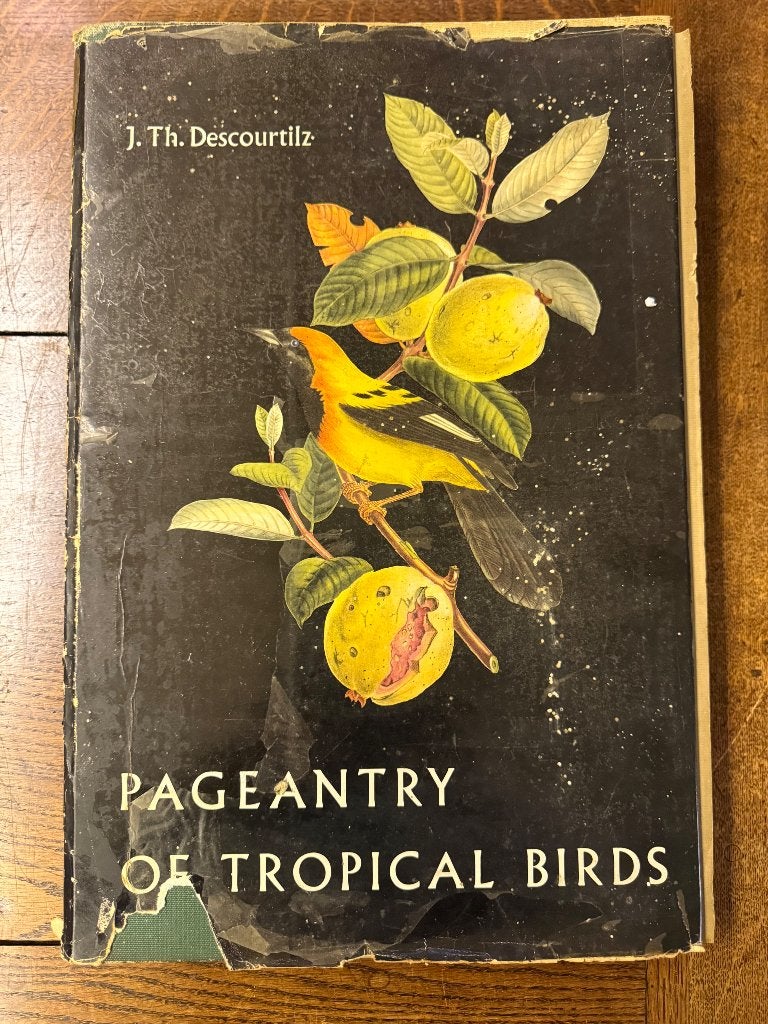 Boek Pageantry of tropical birds van Descourtilz 1835, Boeken, Prentenboeken en Plaatjesalbums, Ophalen, Gelezen