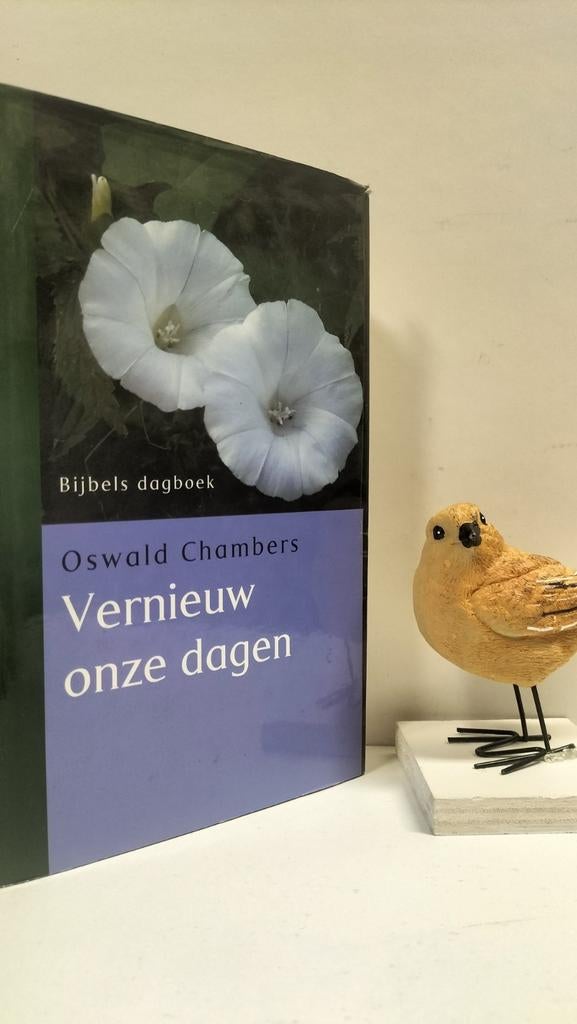 Chambers, Oswald; Vernieuw onze dagen (Bijbels dagboek), Boeken, Ophalen of Verzenden, Gelezen, Christendom | Protestants