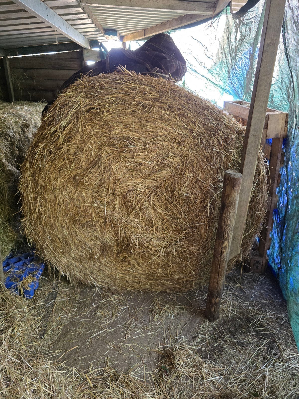 Één hooibaal paardenhooi van 2025, Ophalen