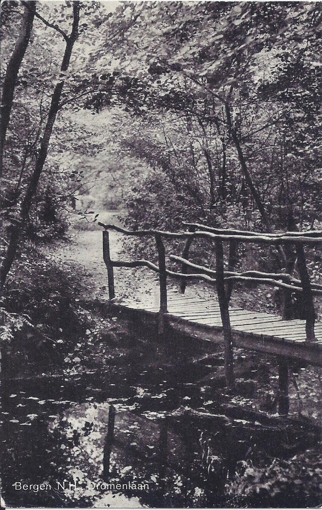 Bergen Dromenlaan Oude Gelopen Ansichtkaart (P963), Ophalen of Verzenden, 1960 tot 1980, Gelopen, Noord-Holland