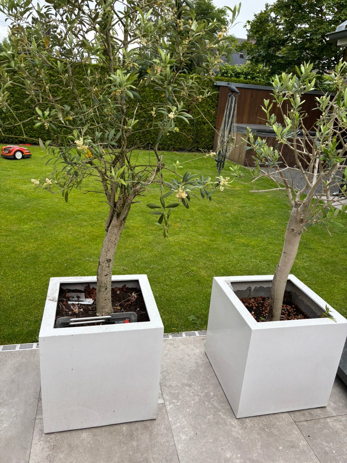 Plantenbakken met olijfbomen, Tuin en Terras, Bloembakken en Plantenbakken, Ophalen, Kunststof, Gebruikt, Minder dan 60 cm