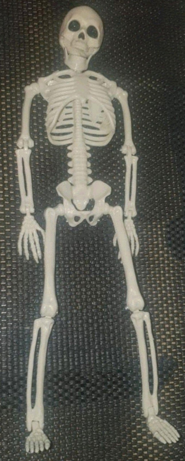 skelet, Ophalen of Verzenden, Nieuw