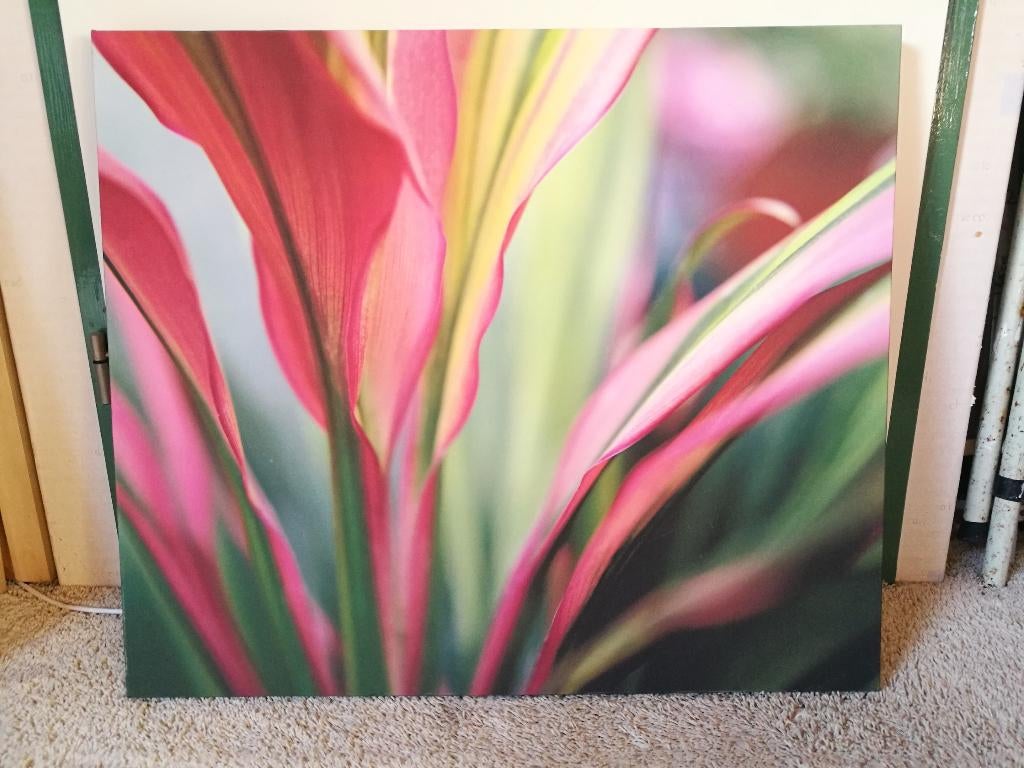 Decoratief schilderij op houten frame, Huis en Inrichting, Ophalen, Gebruikt, 50 tot 75 cm, Schilderij
