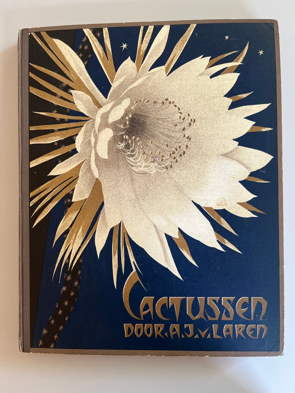 Cactussen door A.J. van Laren - Verkade Album 1931, Ophalen of Verzenden, Gelezen, Bloemen, Planten en Bomen