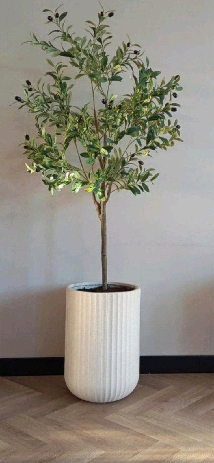 prachtige grote kunst olijfboom, Ophalen of Verzenden, Nieuw