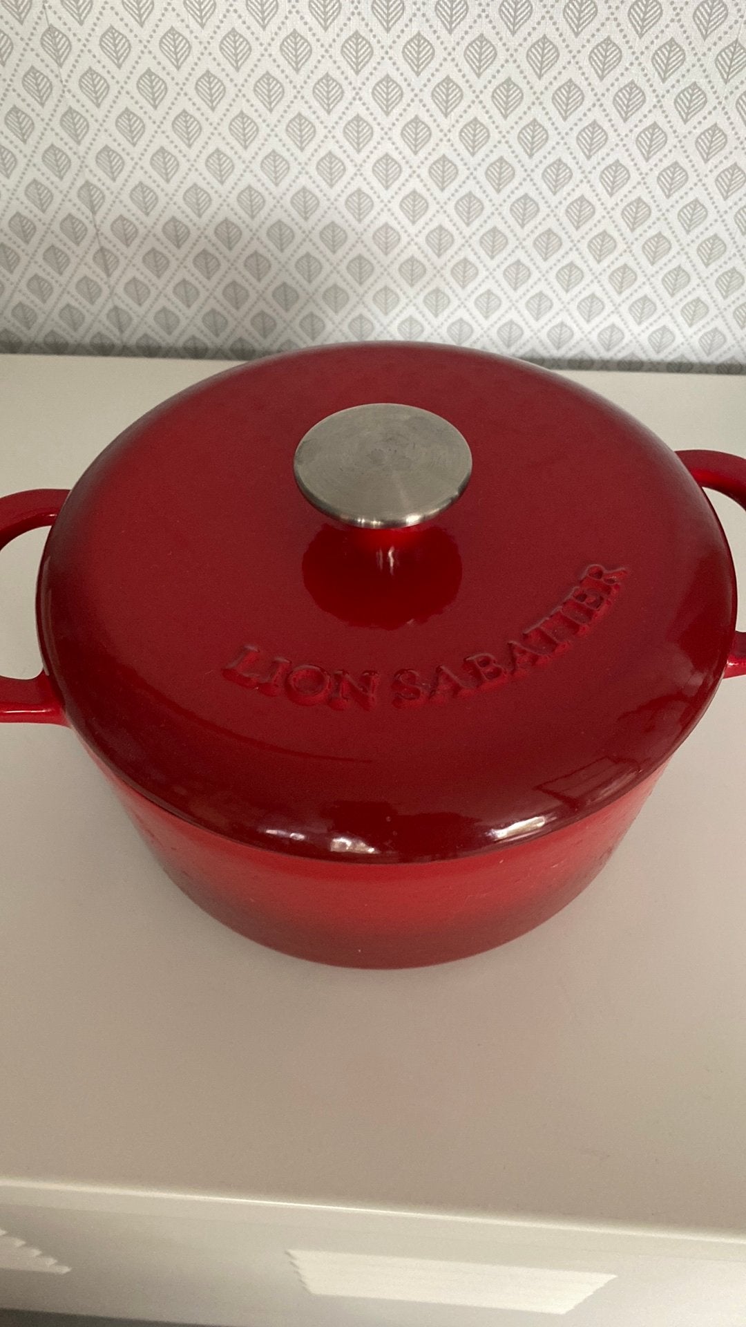 Gietijzeren pan van Lion Sabatier, Ophalen, Gebruikt, Gietijzer