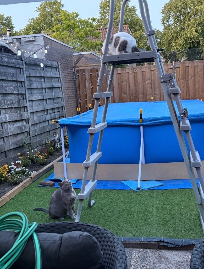 Zwembadtrap gratis afhalen, Tuin en Terras, Ophalen, Gebruikt, Overige typen
