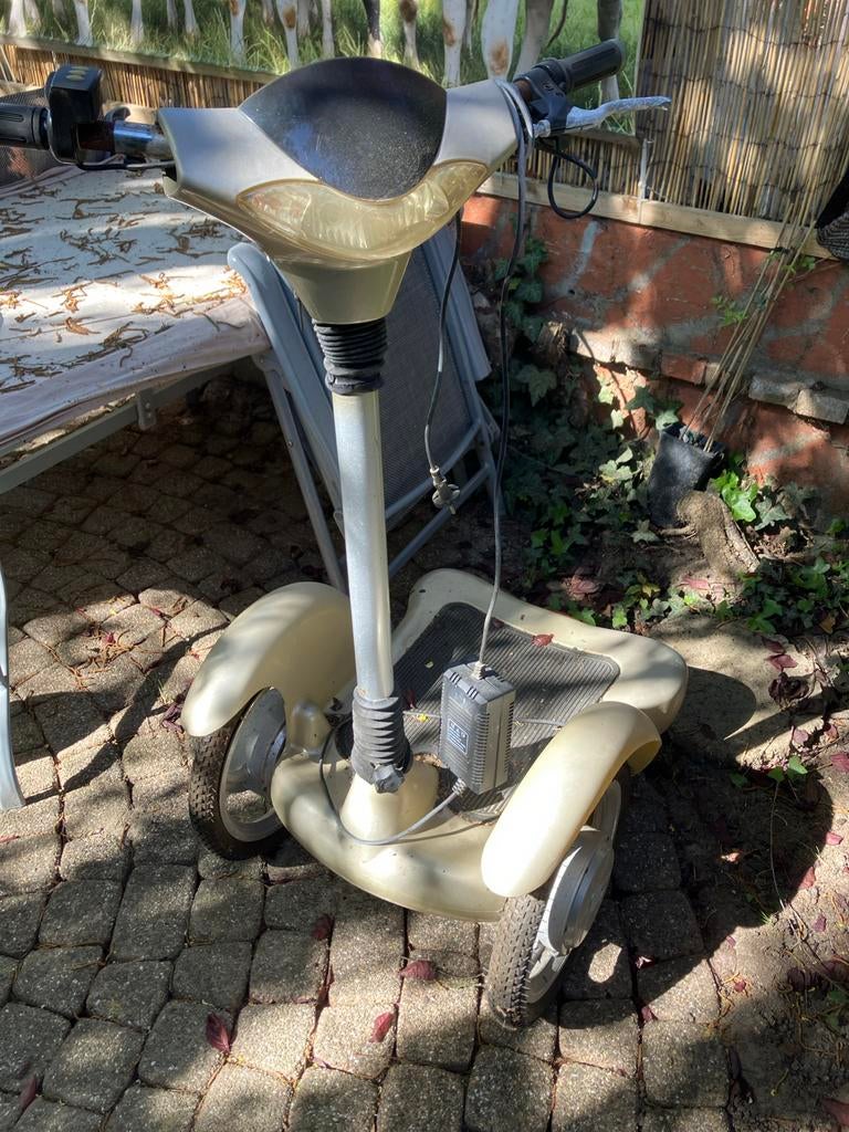 Elektrische nep segway, Ophalen, Gebruikt, Elektrische step (E-scooter)